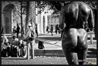 Cliquez pour voir '1410184410-2.jpg' 1410184410-2.jpg