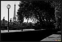 Cliquez pour voir '1410184452-2.jpg' 1410184452-2.jpg